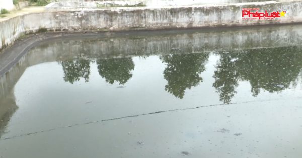 Thái Thụy - Thái Bình: Trang trại lợn của nguyên Phó chủ tịch Huyện bốc mùi hôi thối gây ô nhiễm môi trường