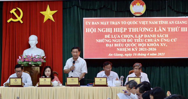 Rút khỏi danh sách 1 người, đang xem xét xóa tên 1 ứng viên ĐBQH tại Hà Nội