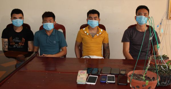 Bắt ổ nhóm bán lan 