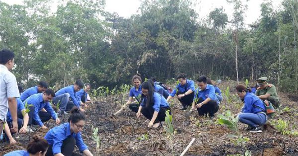 Ứng cử viên ĐBQH và HĐND TPHCM tại Bình Tân trồng cây nhớ ơn Bác Hồ