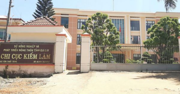 Chuyển điều tra vụ nâng khống giá thiết bị ở Kiểm lâm Gia Lai