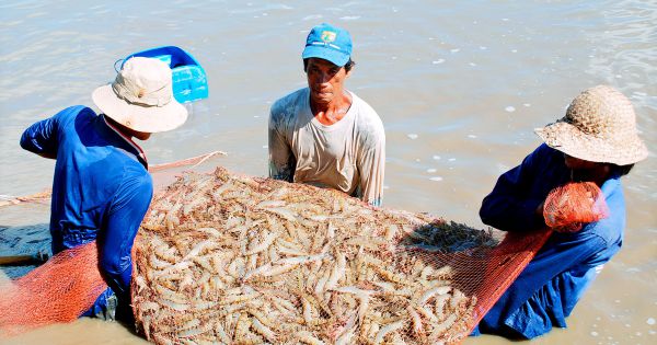 TP. Bạc Liêu chung tay thực hiện hoàn thành xây dựng nông thôn mới