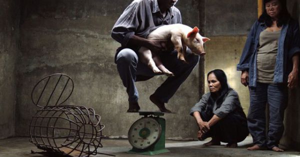 Phạt nhà sản xuất bộ phim “Vị” 35 triệu đồng