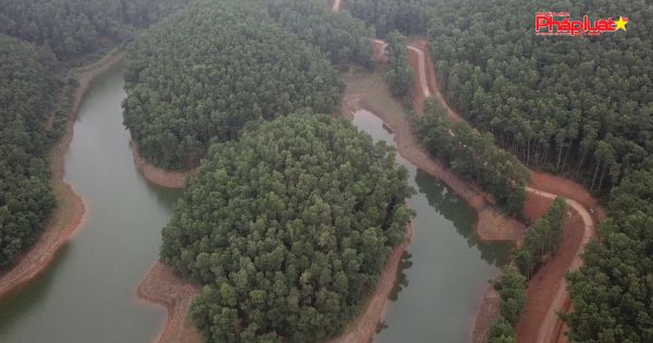 Hòa Bình kỳ 1: Cần làm rõ việc mua bán,chuyển nhượng rừng và đất rừng tại xã Đoàn Kết