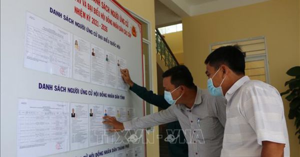 Kỳ vọng của cử tri trong ngày bầu cử