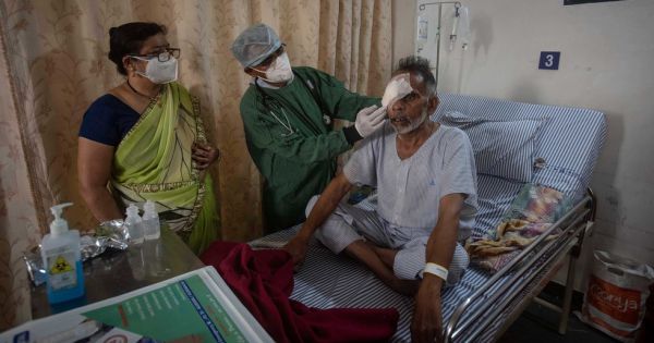 Chưa hết quay cuồng vì COVID-19 và nấm đen, Ấn Độ ghi nhận ca mắc nấm vàng