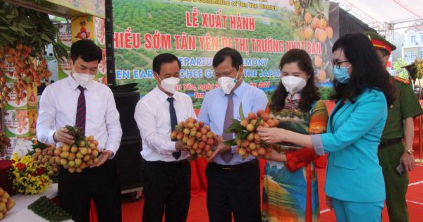 Khoảng 20 tấn vải thiều từ 