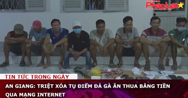 An Giang: Triệt xóa tụ điểm đá gà ăn thua bằng tiền qua mạng Internet