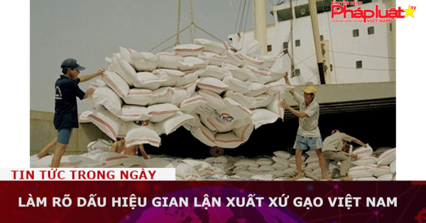 Làm rõ dấu hiệu gian lận xuất xứ gạo Việt Nam