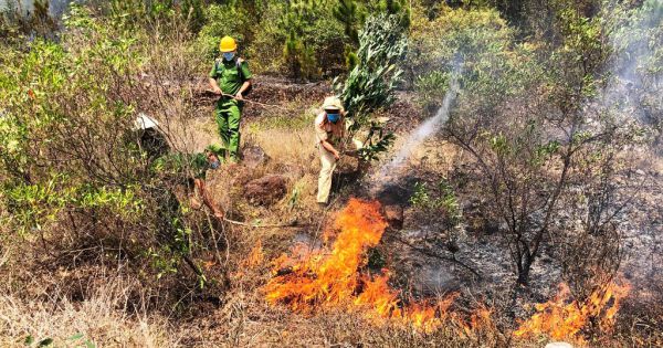 Cháy rừng phòng hộ tại Quảng Nam, hàng trăm người tham gia dập lửa