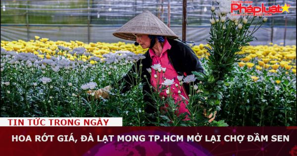 Hoa rớt giá, Đà Lạt mong TP.HCM mở lại chợ Đầm Sen