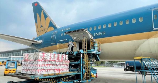 Vietnam Airlines dùng “siêu máy bay” để chở vải thiều vào TP.HCM
