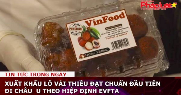 Xuất khẩu lô vải thiều đạt chuẩn đầu tiên đi châu Âu theo Hiệp định EVFTA