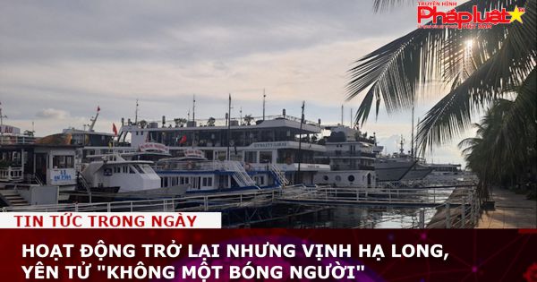 Hoạt động trở lại nhưng Vịnh Hạ Long, Yên Tử 