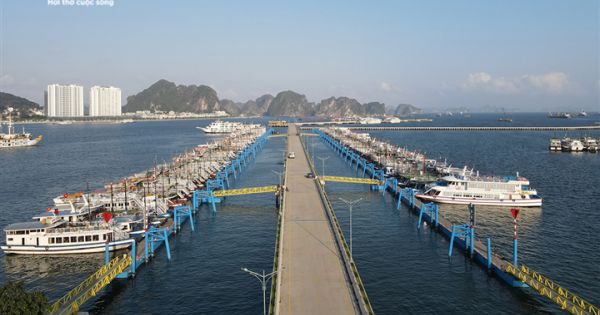 Hơn 500 chủ tàu du lịch Hạ Long gửi đơn cầu cứu Thủ tướng