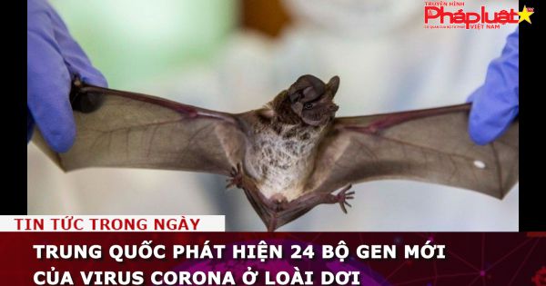 Trung Quốc phát hiện 24 bộ gen mới của virus Corona ở loài dơi