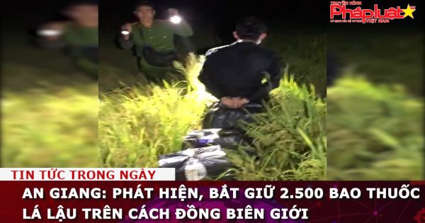 An Giang: Phát hiện, bắt giữ 2.500 bao thuốc lá lậu trên cách đồng biên giới