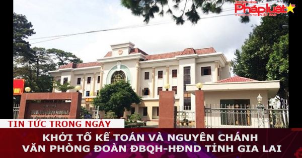 Khởi tố kế toán và nguyên Chánh Văn phòng Đoàn ĐBQH-HĐND tỉnh Gia Lai