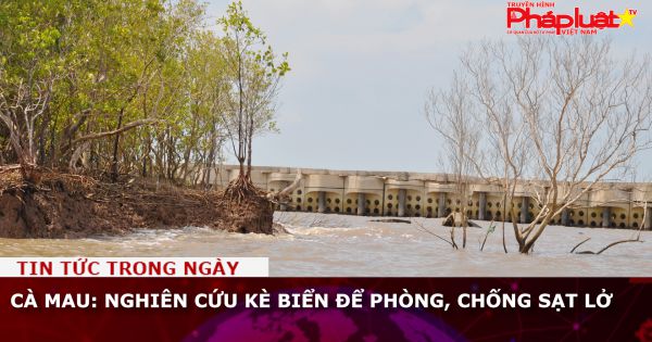 Cà Mau: Nghiên cứu kè biển để phòng, chống sạt lở