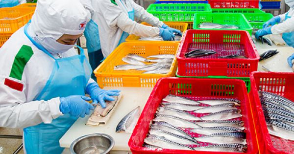 Thêm một doanh nghiệp tại Khu công nghiệp Tân Tạo bị phong tỏa