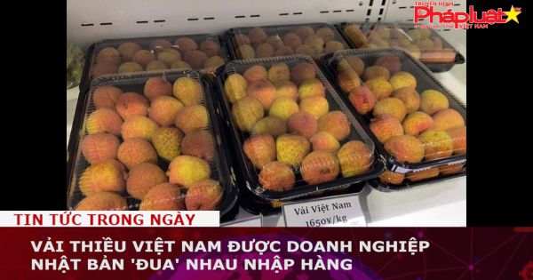 Vải thiều Việt Nam rộng cửa vào thị trường Nhật Bản
