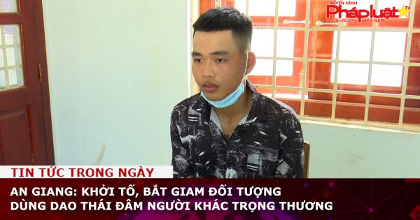 An Giang: Khởi tố, bắt giam đối tượng đâm người khác trọng thương