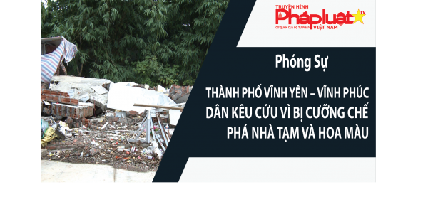 Thành phố Vĩnh Yên - Vĩnh Phúc: Dân kêu cứu vì bị cưỡng chế phá nhà tạm và hoa màu