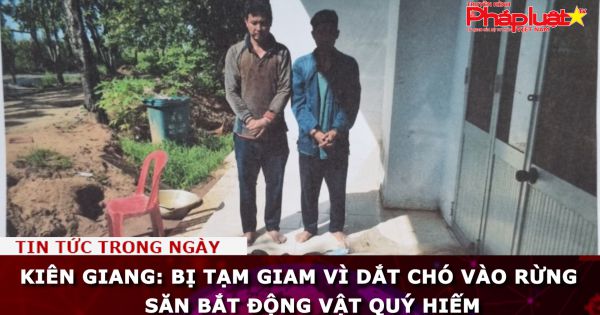 Kiên Giang: Bị tạm giam vì dắt chó vào rừng săn bắt động vật quý hiếm