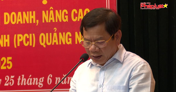 Quảng Ngãi bàn giải pháp nâng cao chỉ số năng lực cạnh tranh cấp tỉnh