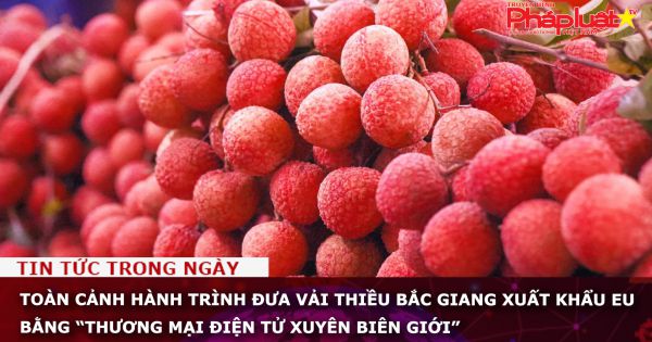 Toàn cảnh hành trình đưa vải thiều Bắc Giang xuất khẩu qua EU bằng “Thương mại điện tử Xuyên biên giới”