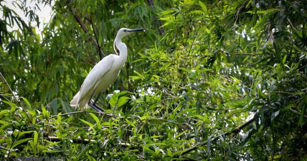 5 triệu USD quản lý bảo tồn đa dạng sinh học ở Quảng Bình