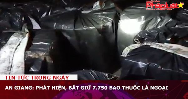 An Giang: Bắt giữ 7.750 bao thuốc lá ngoại