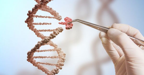 WHO khuyến nghị về chỉnh sửa bộ gen người