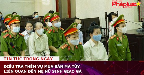Điều tra thêm vụ mua bán ma túy liên quan đến mẹ nữ sinh giao gà
