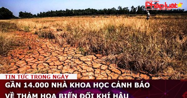Gần 14.000 nhà khoa học cảnh báo về thảm họa biến đổi khí hậu