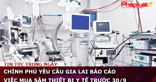 Chính Phủ yêu cầu Gia Lai báo cáo việc mua sắm thiết bị y tế trước 30/9