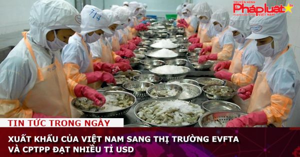 Xuất khẩu của Việt Nam sang thị trường EVFTA và CPTPP đạt nhiều tỉ USD