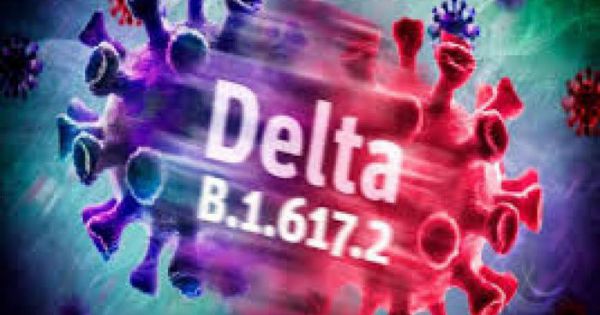 Đại diện WHO: Việt Nam đi đúng hướng trong ứng phó Covid-19