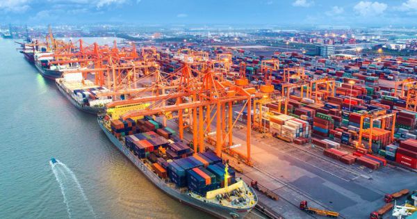 Cục Hải quan TP.HCM lập 2 tổ thông quan hàng hóa phục vụ phòng chống Covid-19, chống ùn tắc hàng hóa