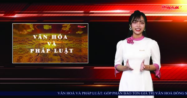 BẢN TIN VĂN HOÁ số 2: Bảo Tồn Văn Hoá Đông Sơn - Vai Trò Của Các Nhà Sưu Tập