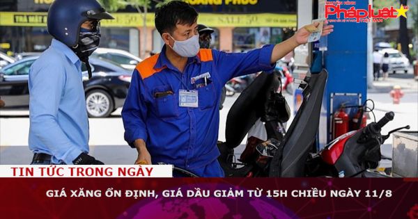 Giá xăng ổn định, giá dầu giảm từ 15h chiều ngày 11/8