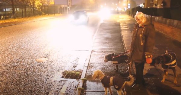 TUỔI GIÀ THÁNH THIỆN [Phần 6]