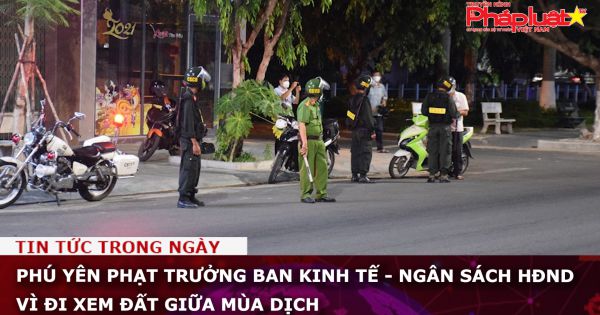 Phú Yên: Phạt Trưởng ban kinh tế - ngân sách HĐND vì 