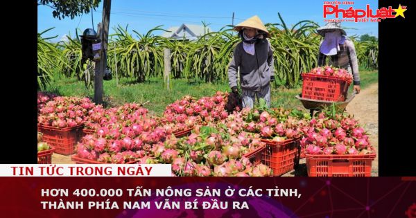 Hơn 400.000 tấn nông sản ở các tỉnh, thành phía Nam vẫn bí đầu ra