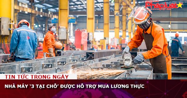 Nhà máy ‘3 tại chỗ’ được hỗ trợ mua lương thực