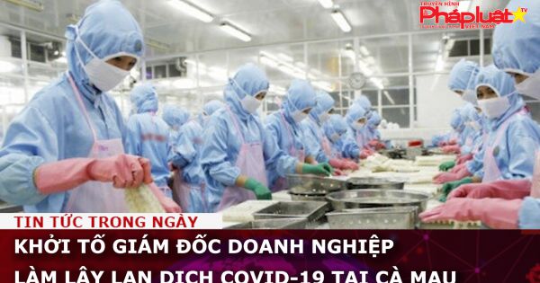 Khởi tố giám đốc doanh nghiệp làm lây lan dịch Covid-19 tại Cà Mau