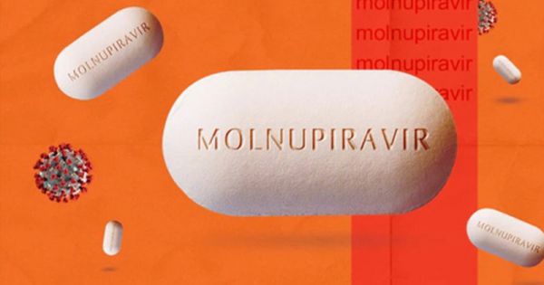 Viện Hàn Lâm KH&CN Việt Nam đã thành công trong việc tạo ra quy trình tinh chế hoạt chất Molnupiravir quy mô pilot