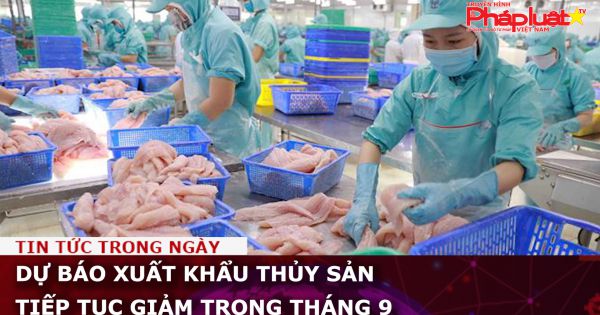 Dự báo xuất khẩu thủy sản tiếp tục giảm trong tháng 9
