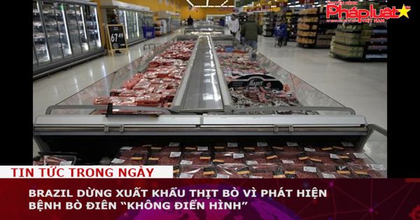 Brazil dừng xuất khẩu thịt bò vì phát hiện bệnh bò điên “không điển hình”