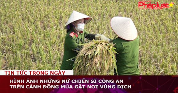 Hình ảnh những nữ chiến sĩ công an trên cánh đồng mùa gặt nơi vùng dịch
